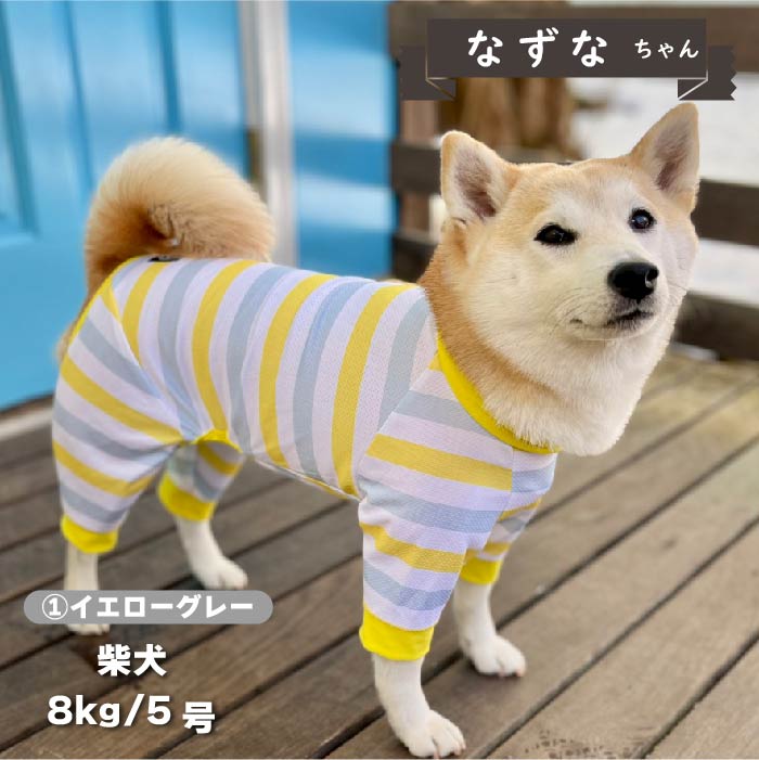 【接触冷感&amp;濡らして冷たい】<br>クールボーダーカバーオール 小型犬・胴長 - VERY-PET