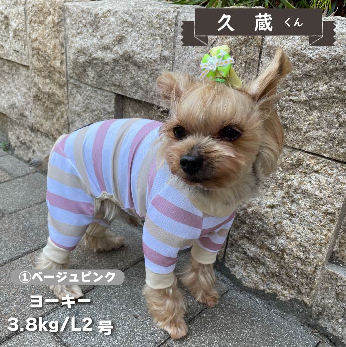 【接触冷感&amp;濡らして冷たい】<br>クールボーダーカバーオール 小型犬・胴長 - VERY-PET