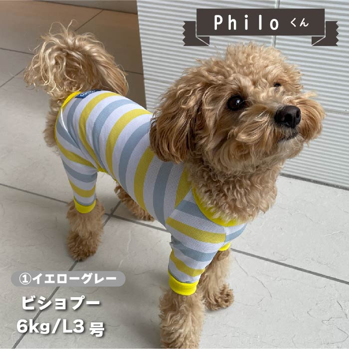 【接触冷感&amp;濡らして冷たい】<br>クールボーダーカバーオール 小型犬・胴長 - VERY-PET