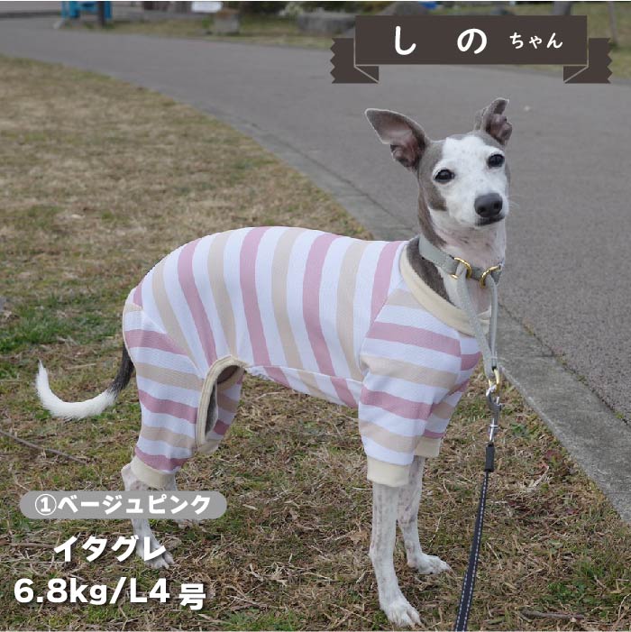 【接触冷感&amp;濡らして冷たい】<br>クールボーダーカバーオール 小型犬・胴長 - VERY-PET