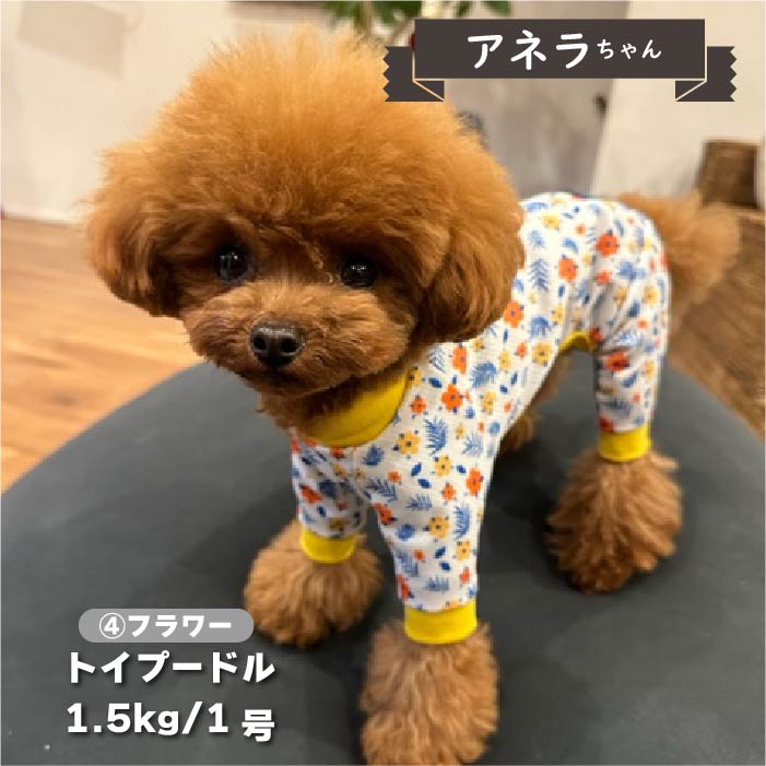 【接触冷感&amp;濡らして冷たい】<br>クールプリントカバーオール 小型犬・胴長 - VERY-PET