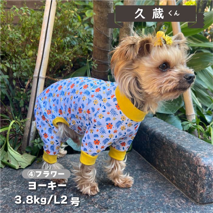 【接触冷感&濡らして冷たい】<br>クールプリントカバーオール 小型犬・胴長 - VERY-PET