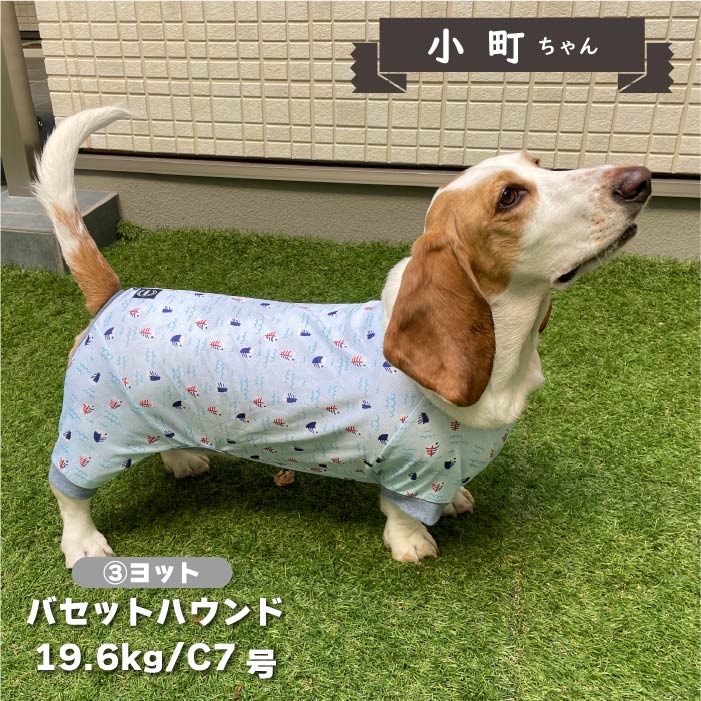 【接触冷感&濡らして冷たい】<br>クールプリントカバーオール コーギー - VERY-PET