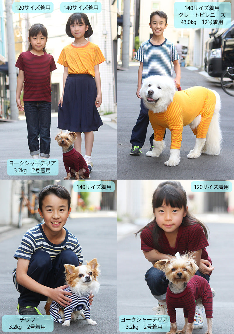 【Web限定】キッズボーダーTシャツ90・100・110・120・130・140【犬服おそろい】【在庫限り】