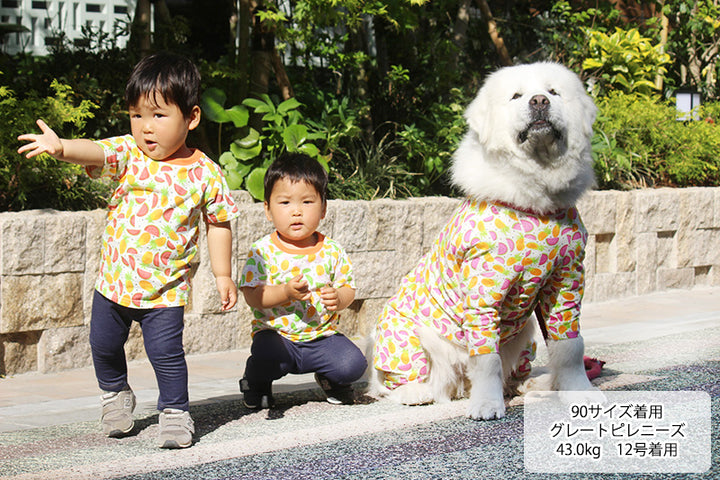 【Web限定】キッズ柄Tシャツ90・100・110・120・130・140【犬服おそろい】【在庫限り】