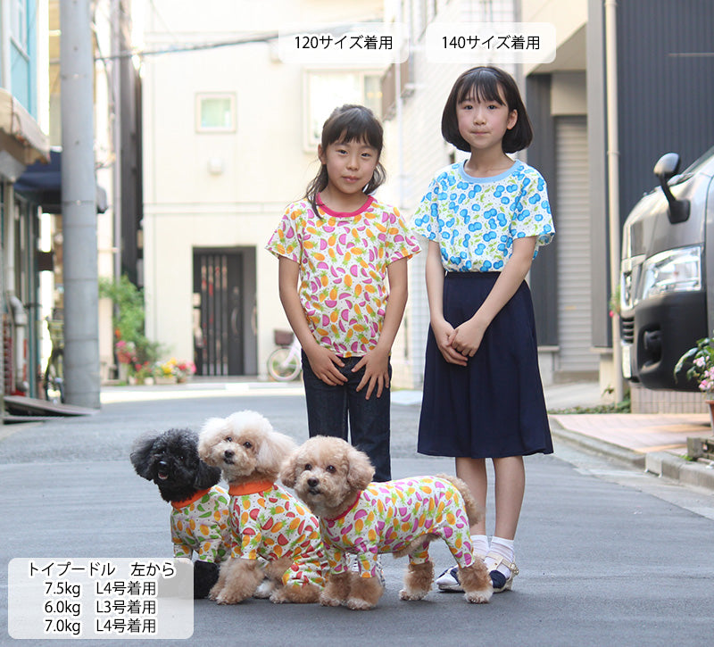 【Web限定】キッズ柄Tシャツ90・100・110・120・130・140【犬服おそろい】【在庫限り】