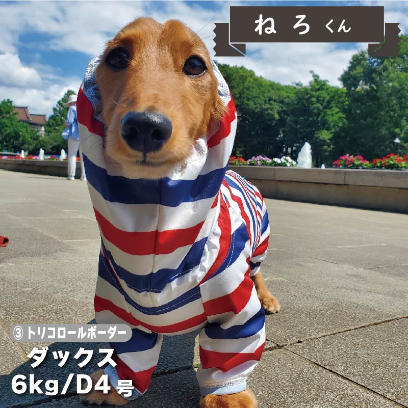 30%OFF！】ダックス ストレッチフルカバー レインコート 4脚 – VERY-PET
