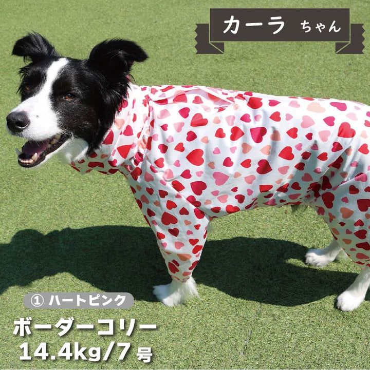 【新型】ストレッチフルカバー レインコート 4脚 中型犬用 - VERY-PET